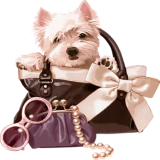 👜 Hund, Handtasche, Sonnenbrille, süß, Haustier, Tier telegram sticker