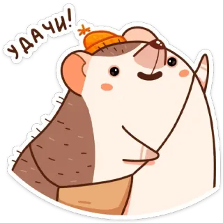 🤞 УДАЧИ! เม่น, น่ารัก, หมวก, โบกมือ, รัสเซีย, โชคดี, สัตว์ telegram sticker