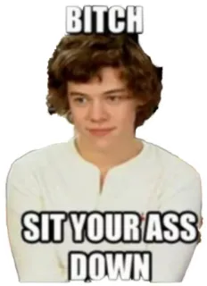 👎 BITCH
SIT YOUR ASS DOWN meme, offensive, funny, humor telegram sticker