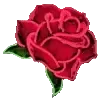 🌹