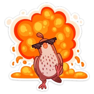 😎 burung, ledakan, keren, kacamata hitam, kartun, lucu telegram sticker