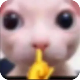 🤲 chat, sphynx, doigt d'honneur, impoli, offensant, geste telegram sticker