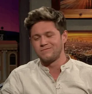 🎸 Niall Horan cantor, homem, pessoa, celebridade telegram sticker
