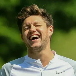 😂 Niall Horan singer, celebrity, person, Niall Horan, One Direction, happy telegram sticker