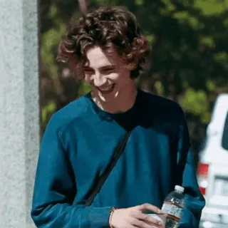 📯 Timothée Chalamet acteur, célébrité, personne, portrait, homme telegram sticker