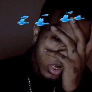 🖤 XXXTentacion rapper, zanger, xxxtentacion, muziek, verdrietig, vogels telegram sticker