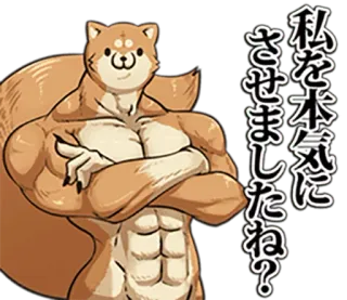 🐶 私を本気にさせましたね? Hund, Muskel, Lustig, Tier, Shiba Inu, Muskulös, Meme telegram sticker