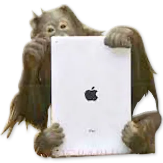 🐒 Orang-Utan, Apfel, iPad, Tablet, Tier, Technologie whatsapp sticker