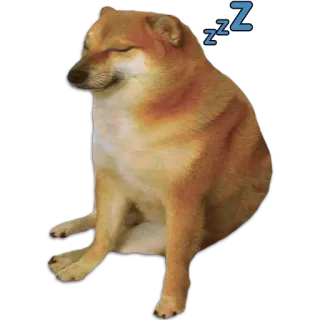 🐶 Cheems ZZZ โดจ, หมา, มีม, นอนหลับ, ชีมส์, นอน whatsapp sticker