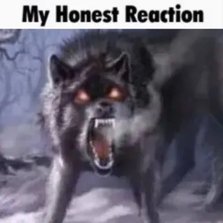 🤬 My Honest Reaction loup, animal, réaction, mème, agressif telegram sticker