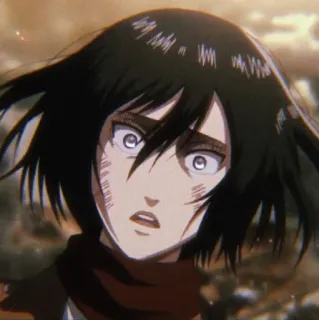 😐 Mikasa Ackerman Attack on Titan Anime, Attack on Titan, Mikasa, Charakter, Titan, Gewalt, Militär whatsapp sticker