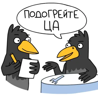 ⛑ ПОДОГРЕЙТЕ ЦА birds, crows, speech bubble, cartoon whatsapp sticker