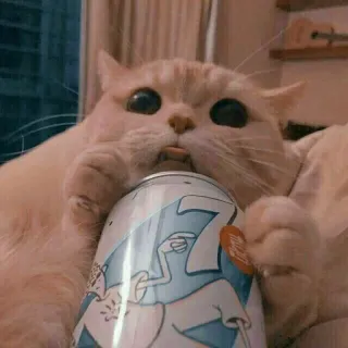 🤔 7up แมว, สัตว์, เครื่องดื่ม, โซดา, น่ารัก, ตลก telegram sticker