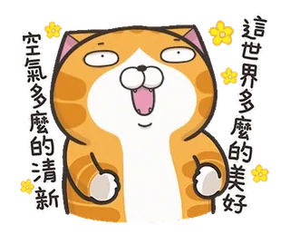 ⭐️ 這世界多麼的美好
空氣多麼的清新 gato, feliz, lindo, flores, positivo telegram sticker