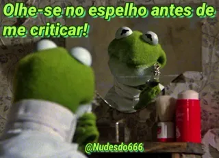 😒 Kermit the Frog Olhe-se no espelho antes de me criticar! kermit, frog, mirror, criticism, self-reflection telegram sticker