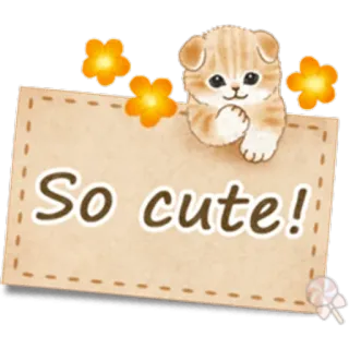 🐱 So cute! lindo, gato, adorable, pegatina, gatito whatsapp sticker