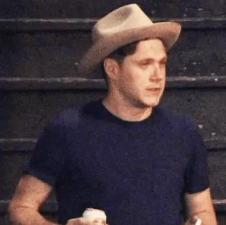 ✨ Niall Horan นักดนตรี, หมวก, ผู้ชาย, คน, นักร้อง telegram sticker