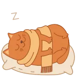 😴 cat, sleeping, scarf, pillow, cute, animal whatsapp sticker
