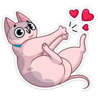 ❤️ gatto, sphynx, cuore, amore, carino, adesivo telegram sticker