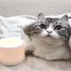 🕯