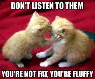 😕 DON'T LISTEN TO THEM
YOU'RE NOT FAT, YOU'RE FLUFFY gatos, gatinhos, fofo, fofinho, animais, meme telegram sticker