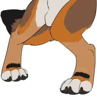 🍾 tier, hund, beine, fell, pfoten telegram sticker