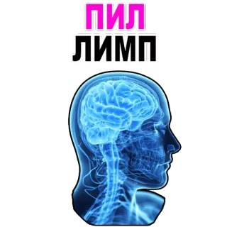 😊 ПИЛ
ЛИМП brain, head, anatomy, human, mind, thinking telegram sticker