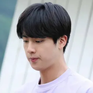 🐹 Jin kpop, sänger, porträt, mann, idol, koreanisch, bts telegram sticker