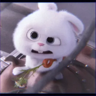 🤓 Snowball The Secret Life of Pets Snowball, rabbit, bunny, animal, pet, cute, animated, The Secret Life of Pets whatsapp sticker