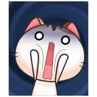 😱 แมว, ตกใจ, ประหลาดใจ, การ์ตูน, สัตว์ telegram sticker