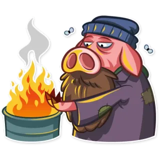 🔥 Schwein, obdachlos, kalt, Feuer, Cartoon, Figur, Tier telegram sticker
