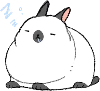 💤 zzz katze, schlafend, zzz, süß, müde, cartoon, tier telegram sticker