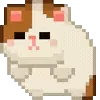 🐈