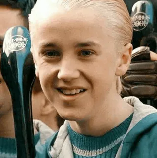 🐾 Draco Malfoy Harry Potter 드레이코 말포이, 해리 포터, 슬리데린, 마법사, 퀴디치, 톰 펠튼 telegram sticker