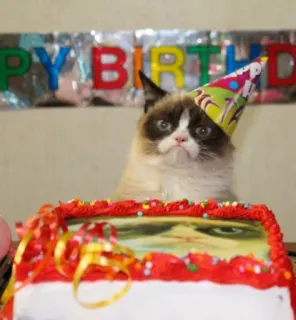 🎉 Grumpy Cat HAPPY BIRTHDAY gatto, compleanno, festa, scontroso, torta, cappello telegram sticker