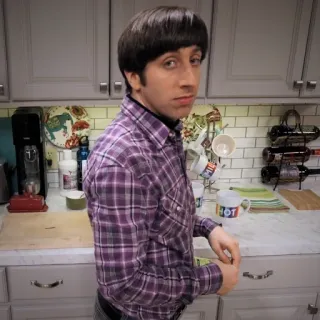 😐 Howard Wolowitz The Big Bang Theory tv show, character, sitcom, the big bang theory telegram sticker
