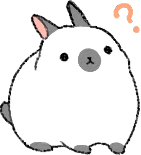 ❓ Hase, Kaninchen, Tier, süß, Frage, Fragezeichen telegram sticker