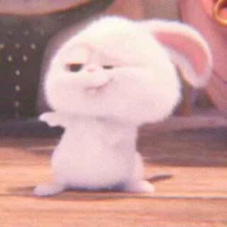 🐰 Snowball The Secret Life of Pets conejo, mascota, animal, lindo, esponjoso, dibujos animados, animado telegram sticker