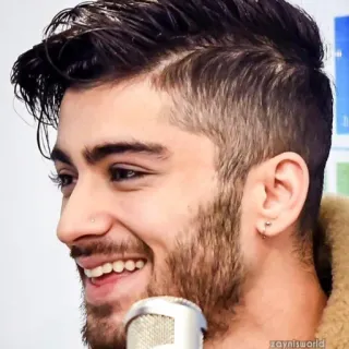 😂 Zayn Malik 歌手, 有名人, 男性, ポートレート telegram sticker
