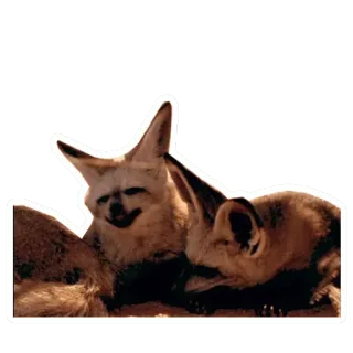 👽 fennec fox, fox, animal, desert animal, cute, wildlife, mammal telegram sticker