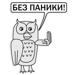 ✋ БЕЗ ПАНИКИ! นกฮูก, อย่าตื่นตระหนก, นก, การ์ตูน, สติกเกอร์ telegram sticker