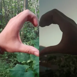 🤔 heart, hands, love, nature, gesture whatsapp sticker