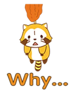 🙄 Why... procione, carino, cartone animato, domanda, confuso, animale telegram sticker
