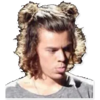 😝 Harry Styles célébrité, chanteur, musicien, cheveux, homme telegram sticker