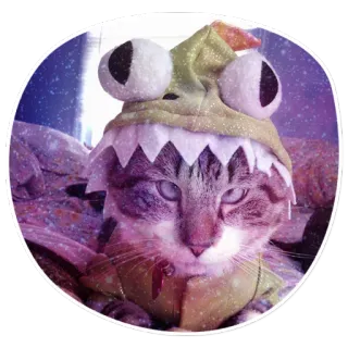 😳 cat, shark, hat, animal, pet, costume telegram sticker