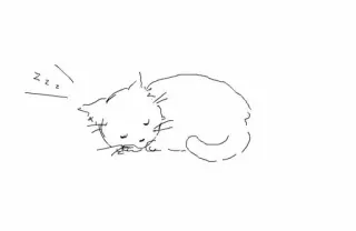💘 zzz gato, dormindo, gatinho, fofo, soneca, animal, animal de estimação telegram sticker