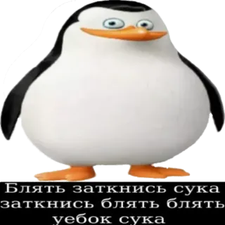 🙂 Skipper Penguins of Madagascar Блять заткнись сука
заткнись блять блять
уебок сука pinguino, russo, parolacce, offensivo, animato, cartoni animati, divertente telegram sticker