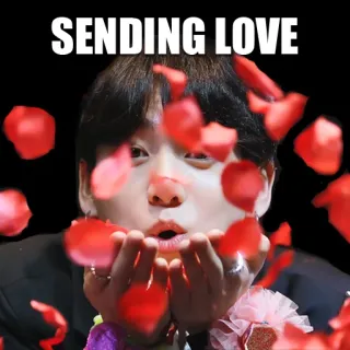 ❤️ SENDING LOVE miłość, wysyłam, czerwony, róża, płatki, serce, uczucie telegram sticker