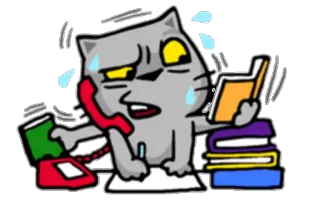 😫 Katze, beschäftigt, gestresst, Büro, arbeiten, Telefon, Buch telegram sticker