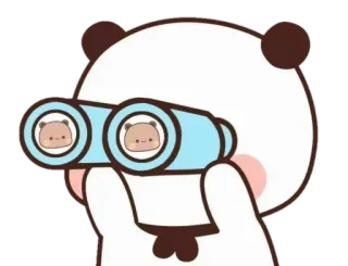 🐻 panda, binoculars, cute, animal, looking, searching, cartoon, sticker telegram sticker